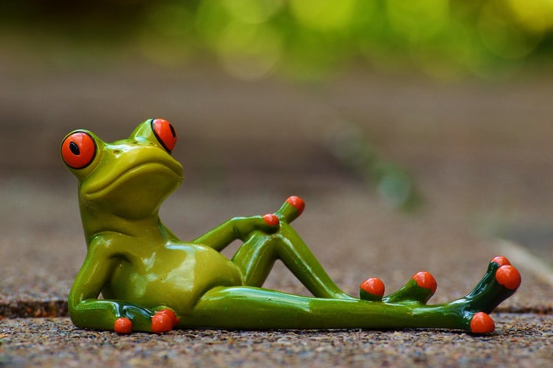 Mindfulness Meditation